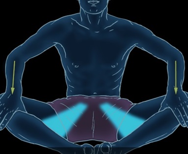 Exercise 10- Adductors stretch